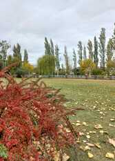 Foto 3 de la galería de Cabañas Villa Ciruelos en San Rafael