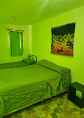 Foto 2 de la galería de El Nogal Complejo de Cabañas en Agua De Oro