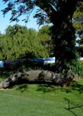 Foto 3 de la galería de Estancia El Cerrito en Victoria