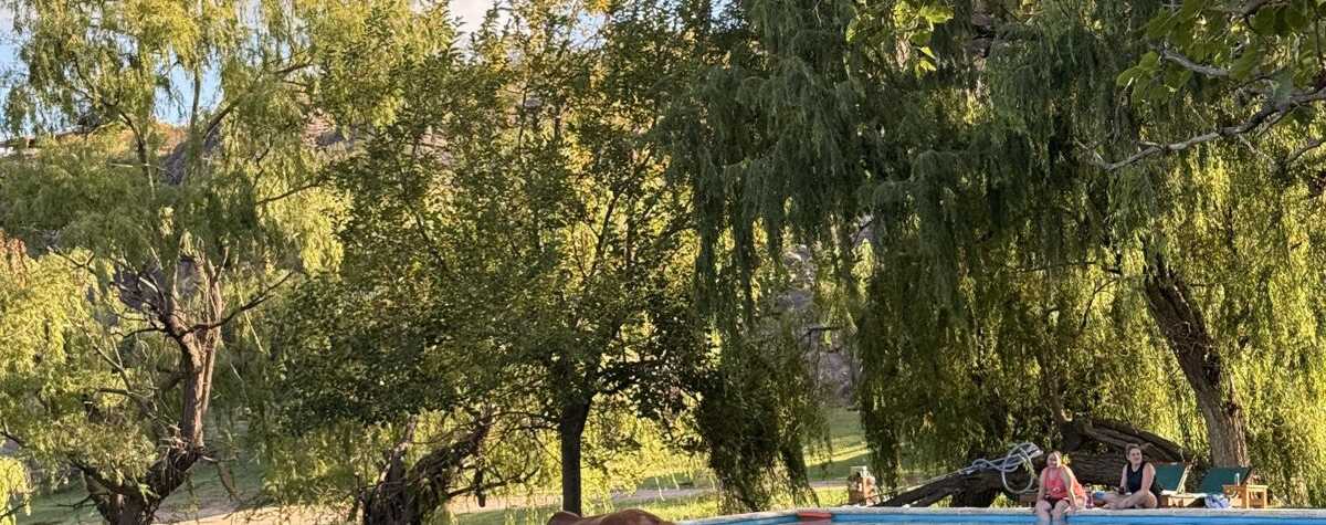Foto principal de Los Nogales Cabañas en Mina Clavero