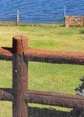 Foto 4 de El Paraiso , cabañas de tronco con costa sobre el lago. en Villa Santa Cruz Del Lago