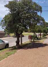 Foto 3 de la galería de Depto de dos ambientes a metros del mar y del centro en Mar De Ajó