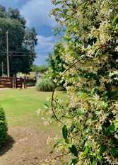 Foto 2 de la galería de Cabañas Aires de la Villa en Villa Del Dique