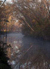 Foto 3 de la galería de Cabaña La Violeta en el Delta de Tigre en Delta del Tigre