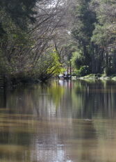 Foto 2 de la galería de Cabaña La Violeta en el Delta de Tigre en Delta del Tigre