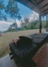 Foto 3 de la galería de Hospedaje Emanuel en Puerto Iguazú