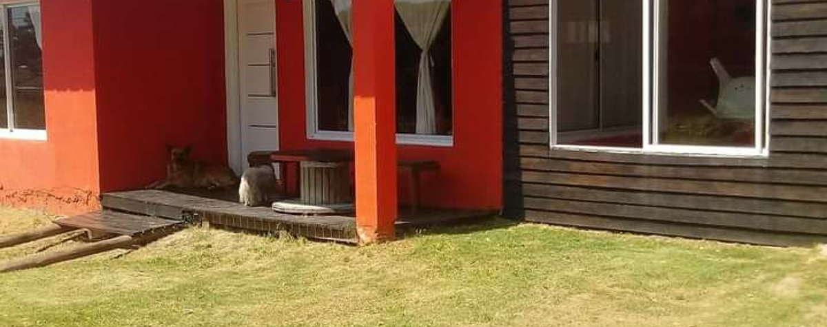 Foto principal de Cabañas, la naranjitas de mar y sol en Mar Del Plata