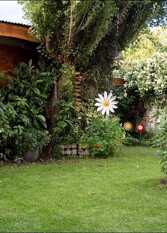 Foto 3 de la galería de Complejo Punto Sur cabañas y departamentos en Esquel