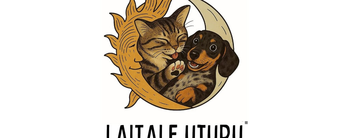 Foto principal de Laitale Uturu en San Salvador De Jujuy