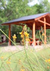 Foto 4 de Rancho Pampa Cabañas en Villa Ciudad Parque