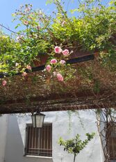 Foto 2 de la galería de R&A en Rio Cuarto
