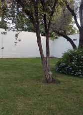 Foto 3 de la galería de Complejo Claret, Duplex y Departamentos Zona Norte Cordoba en Ciudad De Córdoba