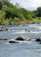Foto 4 de Cabañas Terrazas del Corcovado en Santa Rosa De Calamuchita