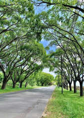Foto 3 de la galería de Bonnagu en La Lucila Del Mar