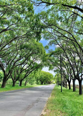 Foto 3 de la galería de Bonnagu en La Lucila Del Mar