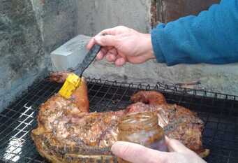 Foto 1 de la galería de El Colibrí Cabañas de la Naturaleza en Trelew