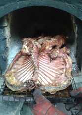 Foto 2 de la galería de El Colibrí Cabañas de la Naturaleza en Trelew