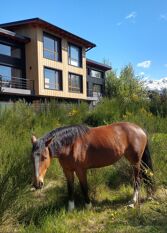 Foto 2 de la galería de Studios Los Manzanos en San Carlos De Bariloche