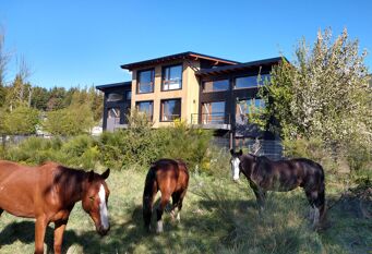 Foto 1 de la galería de Studios Los Manzanos en San Carlos De Bariloche