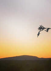 Foto 2 de la galería de Casa La Maruja en Cabalango