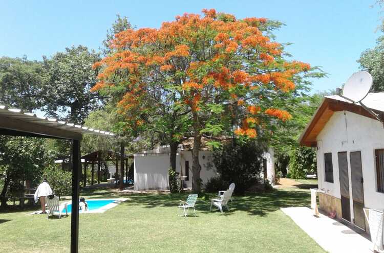 Foto principal de Cabañas Luciana en Termas De Rio Hondo