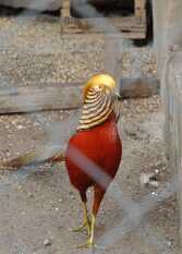 Foto 3 de la galería de Cabañas Pinar del Arroyito en Villa General Belgrano