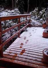 Foto 2 de la galería de Terrazas de Cruz Chica en La Cumbre