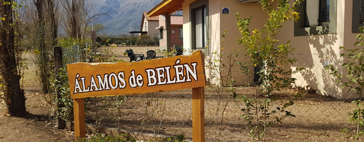 Foto principal de Álamos de Belen en Carpintería