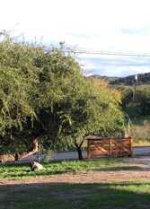 Foto 2 de la galería de Samay Casa de Campo en Alta Gracia