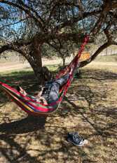 Foto 3 de la galería de Samay Casa de Campo en Alta Gracia