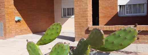 Foto 1 de Tedin House en Lincoln