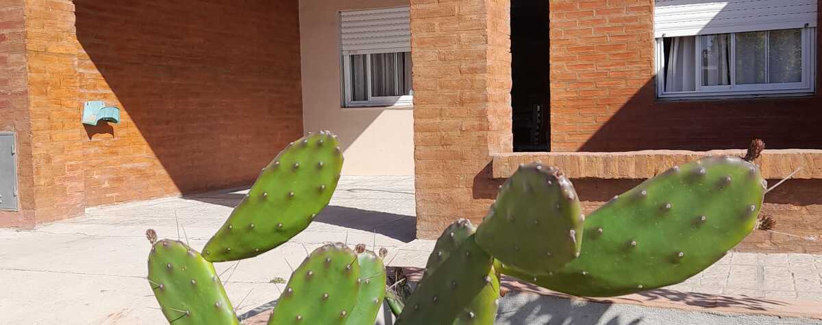 Foto principal de Tedin House en Lincoln