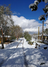 Foto 2 de la galería de La Dominga Cabañas en Lujan De Cuyo