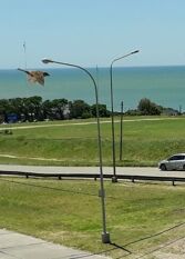 Foto 3 de la galería de Departamento Vista al Mar en Mar Del Plata