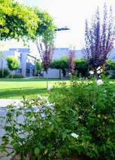 Foto 3 de Departamentos Moreno Park en Lujan De Cuyo
