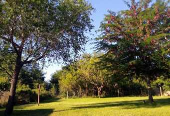 Foto 1 de la galería de La casita de Don Luis en Cosquin