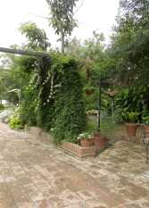 Foto 2 de la galería de Casas Inti Wasi en San Luis