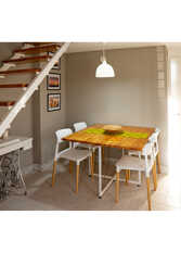 Foto 2 de la galería de LAS ORQUIDEAS en Plottier