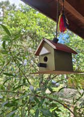 Foto 2 de la galería de Golondrinas Complejo de Cabañas en Tanti