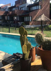 Foto 2 de la galería de Aguaribay Apart Cabañas en Villa Carlos Paz