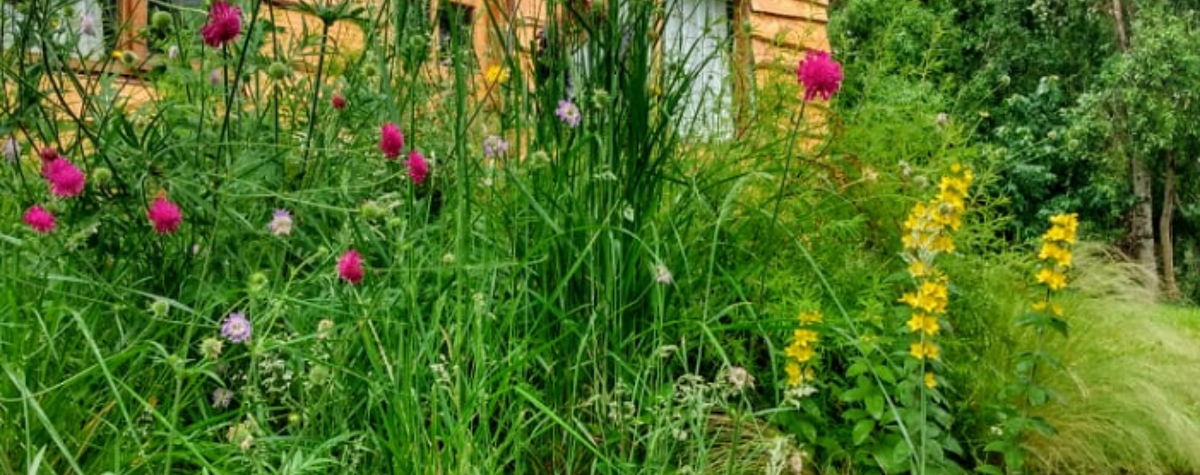 Foto principal de Paisaje Nativo en Villa La Angostura