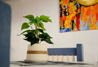 Foto 1 de la galería de Mi Lugar en San Rafael