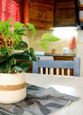 Foto 2 de la galería de Mi Lugar en San Rafael