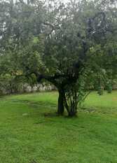 Foto 3 de la galería de LA SERENA - Cuesta Blanca -  lugar privilegiado- en Cuesta Blanca