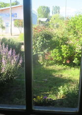 Foto 2 de la galería de Casa Quintral en El Bolsón