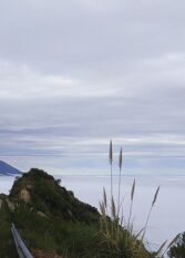 Foto 2 de la galería de La Curucucha Cabañas en Nono