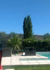 Foto 2 de la galería de chacras house en Lujan De Cuyo