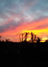 Foto 4 de Bungalows Tiempo Libre en Colón