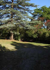 Foto 3 de la galería de Casa de Vacaciones De Adobe en Unquillo