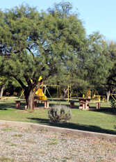 Foto 4 de Complejo Los 7 Saltos en Los Molles